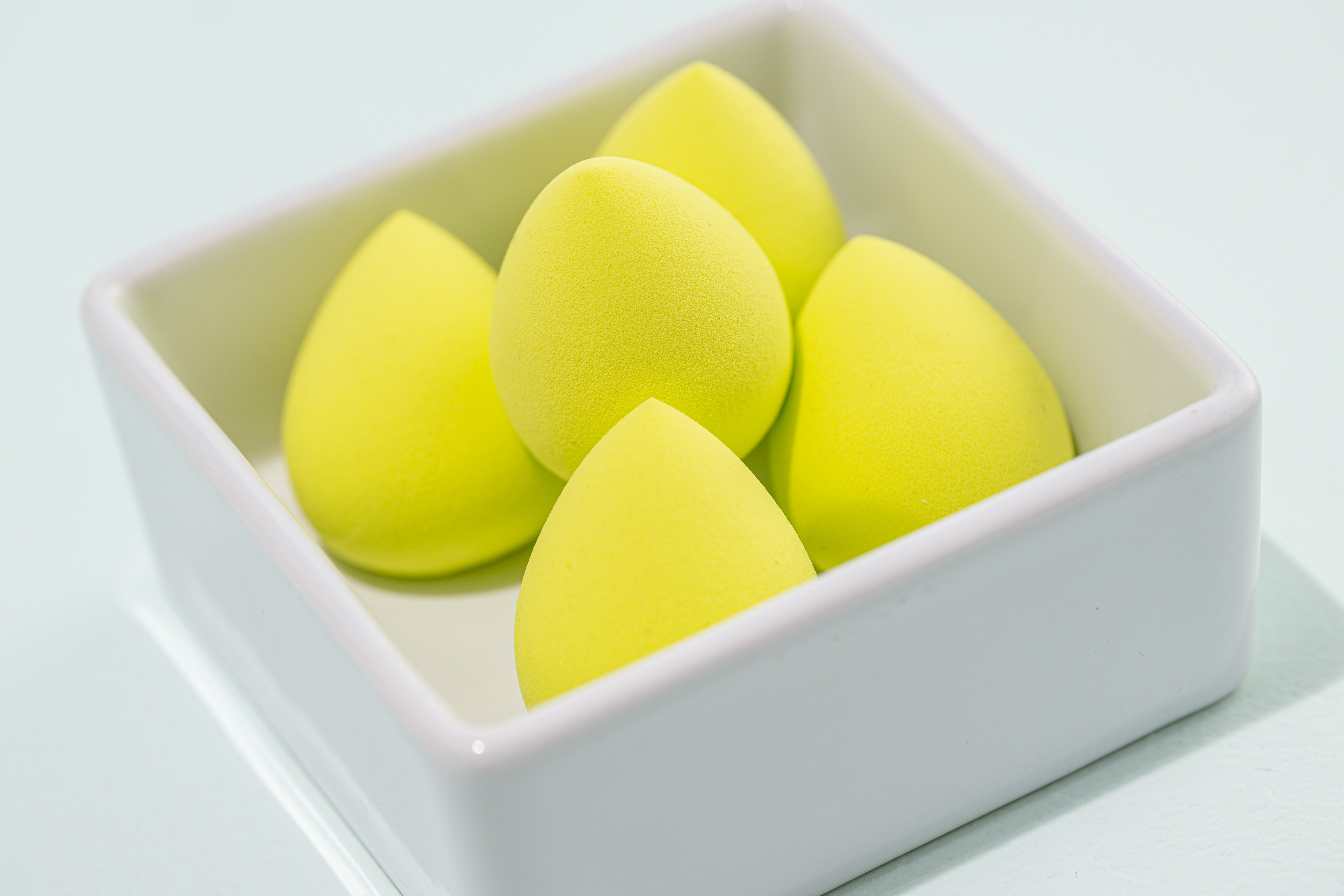 Limelife by Alcone Sponges